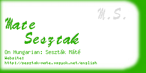 mate sesztak business card