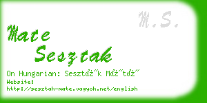 mate sesztak business card